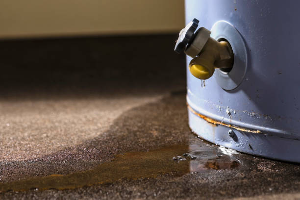 Best Sewage cleanup and water damage restoration  in Tokeneke, CT