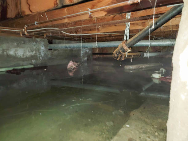 Best Sewage cleanup and water damage restoration  in Tokeneke, CT