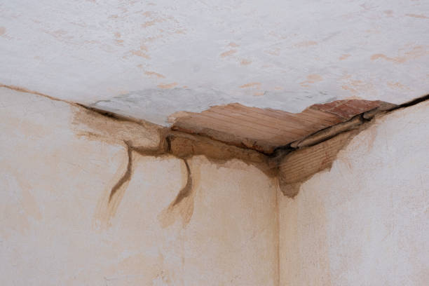 Best Water damage restoration services  in Tokeneke, CT