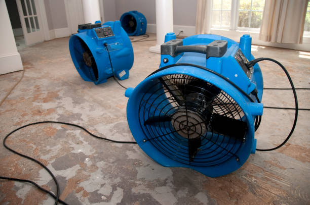 Best Basement water damage restoration  in Tokeneke, CT