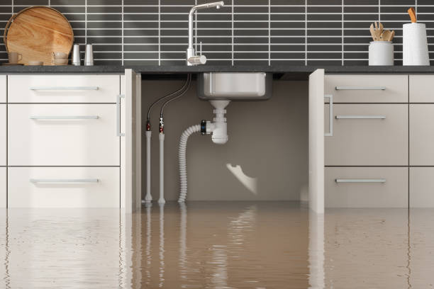 Best 24/7 water damage repair  in Tokeneke, CT
