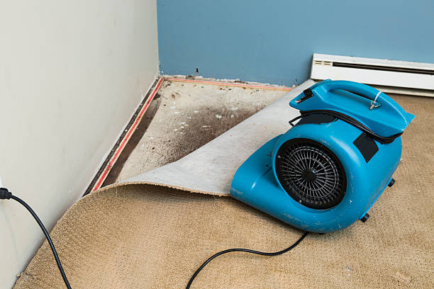 Local water damage restoration in CT